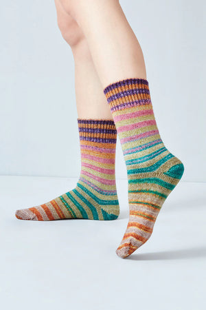 Finished Socks (6 Colors)