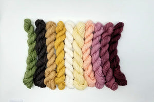 Cashmere Coloring Box