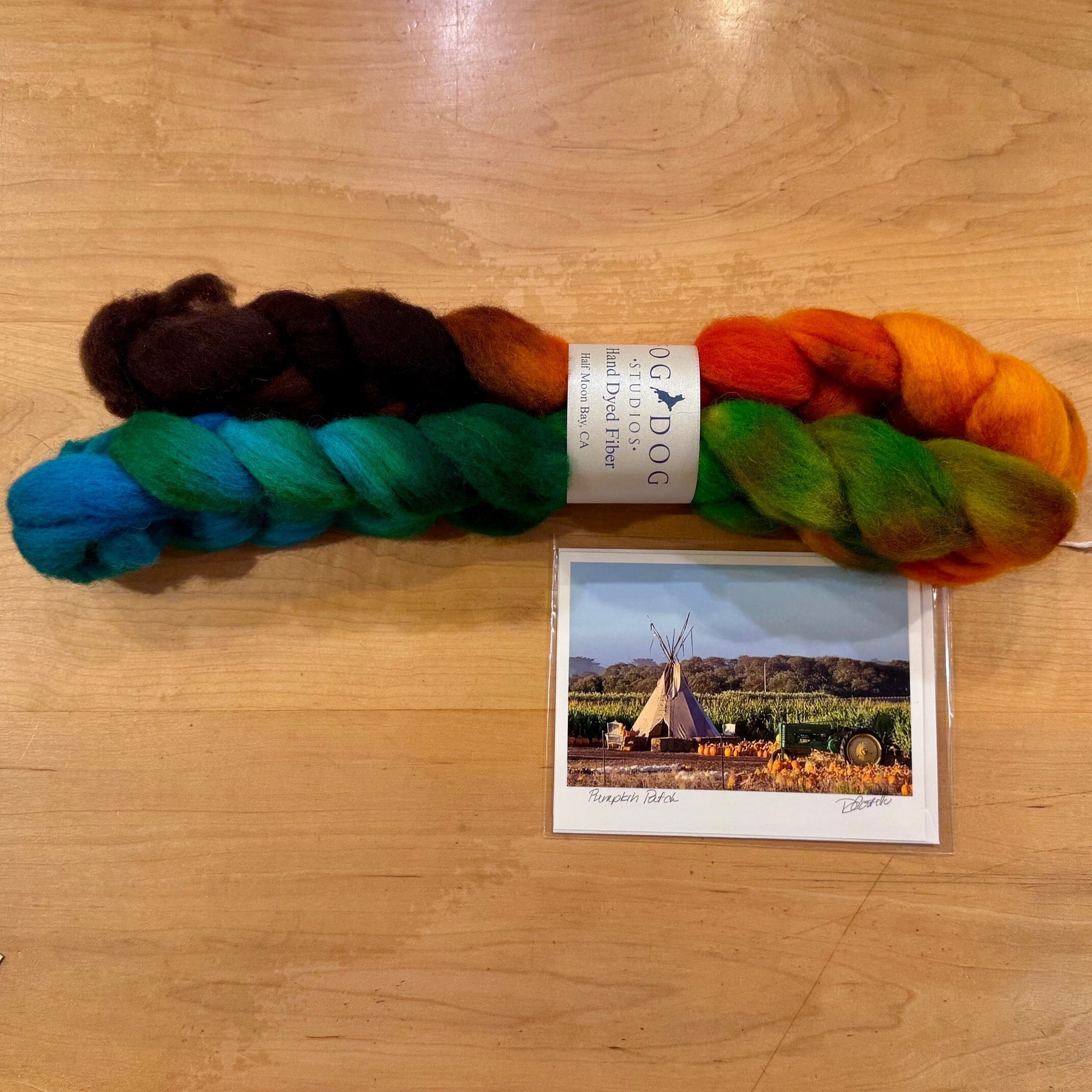 Polworth Roving - Pumpkin Patch
