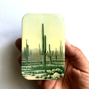 Large Cactus Notions Tin