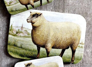 Large Notions Tin - Sheep