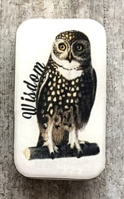 Wise Owl Notions Tin - Small