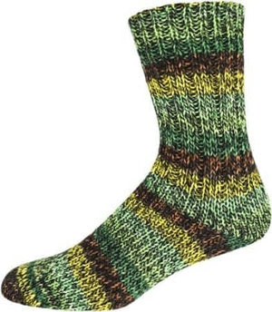 Supersocke 8-ply Nordic Color