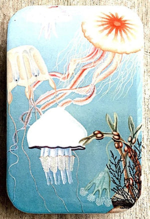 Large Notions Tin - Jellyfish