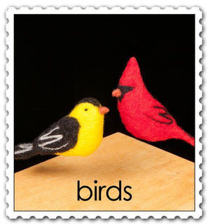 Starter Kit - Birds (includes foam pad)